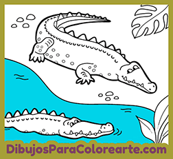 Dibujos de Animales para Colorear: Cocodrilo